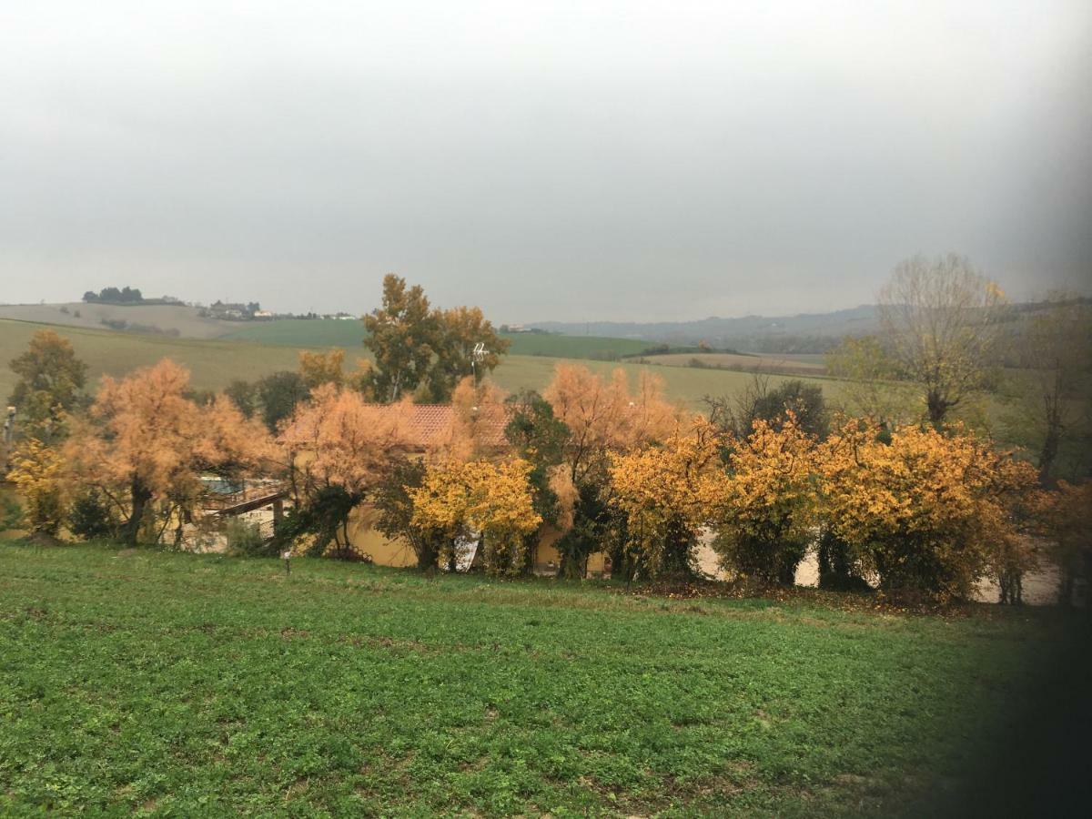 Agriturismo Fattoria Del Colle Jesi Extérieur photo