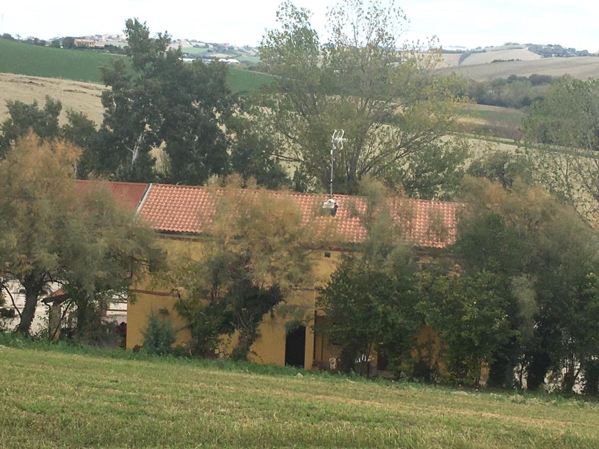 Agriturismo Fattoria Del Colle Jesi Extérieur photo