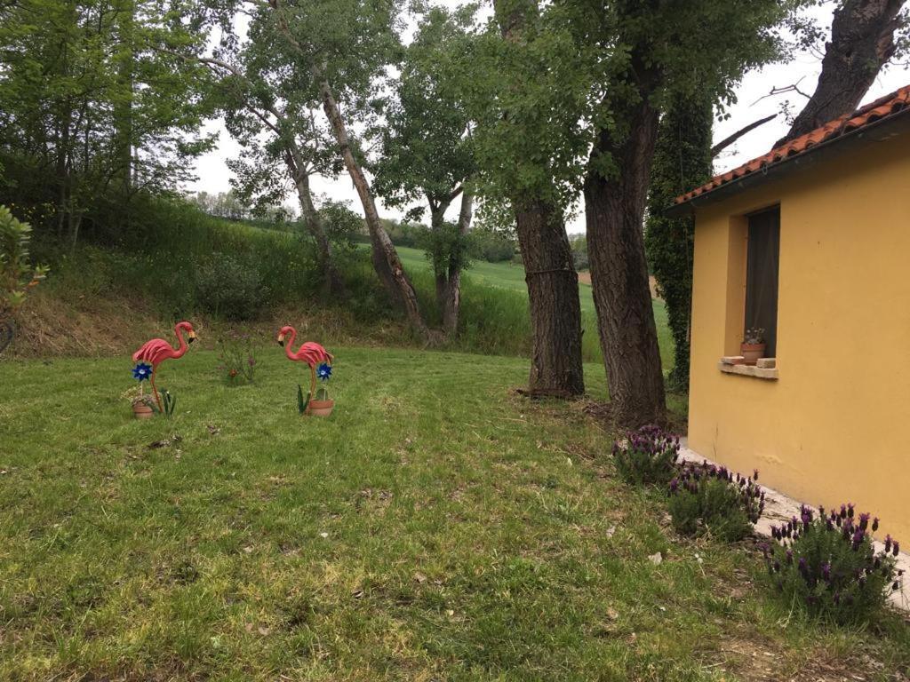 Agriturismo Fattoria Del Colle Jesi Extérieur photo