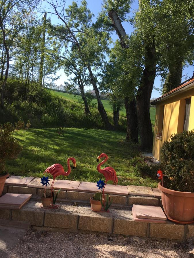 Agriturismo Fattoria Del Colle Jesi Extérieur photo